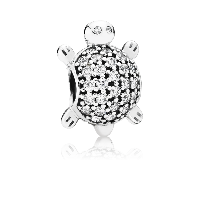 PNGTRPNT 791538CZ2