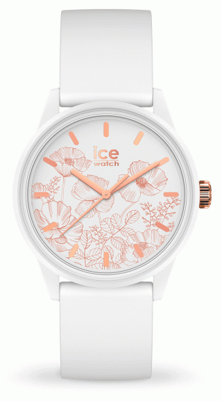 ICE WATCH 020596