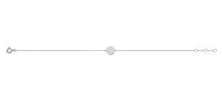 9NBG 0446