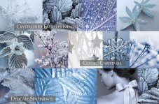 winter collection